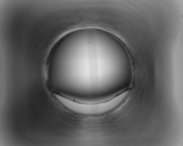 X0000089701510200707201730