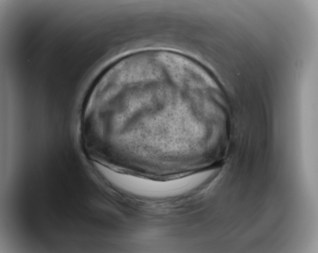 X0000089701511200707201730