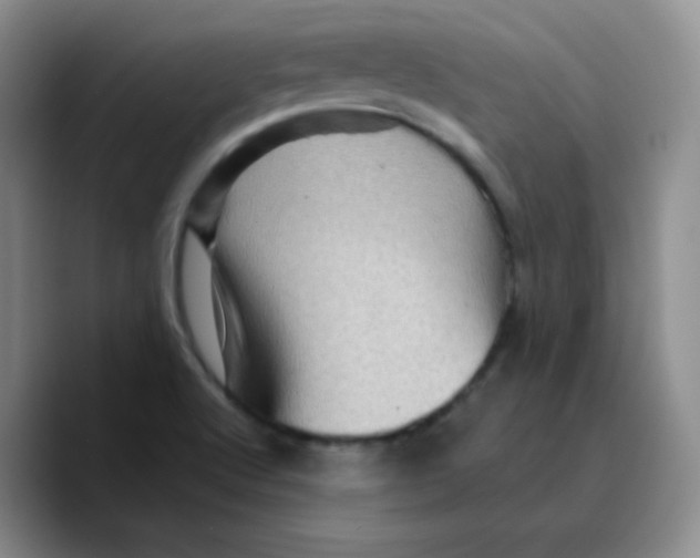 X0000089701512200707201730