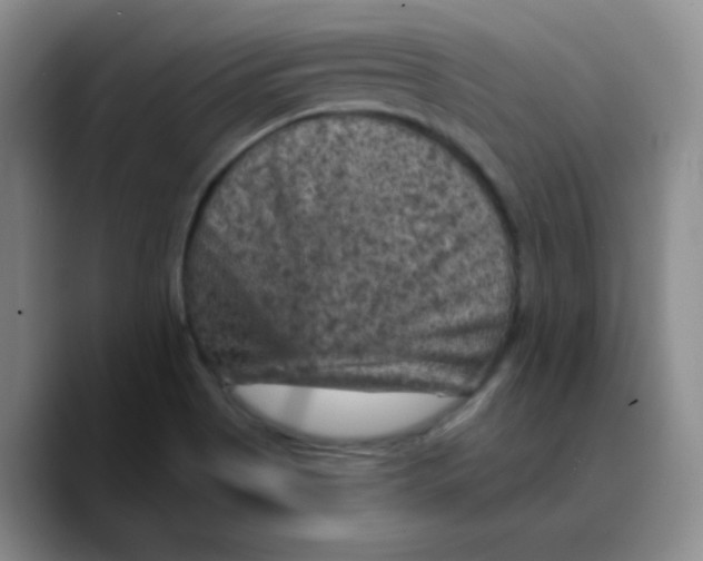 X0000089701513200707201730
