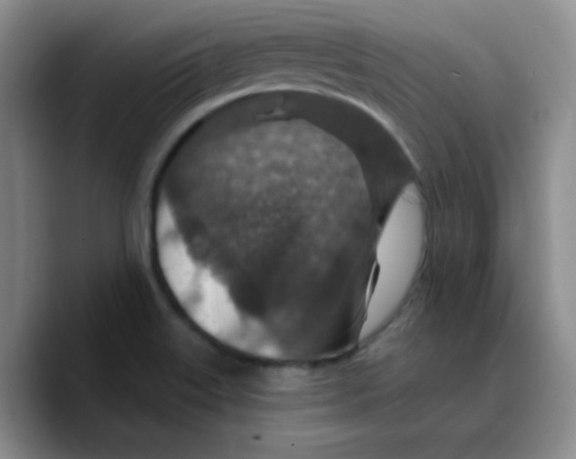 X0000089701515200707201730