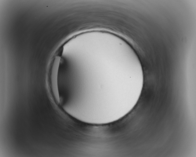X0000089701518200707201730