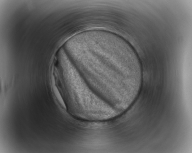 X0000089701521200707201730