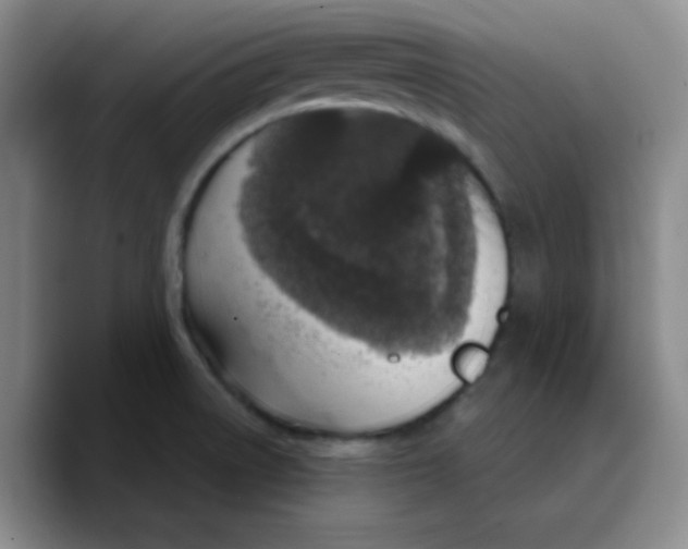 X0000089701522200707201730