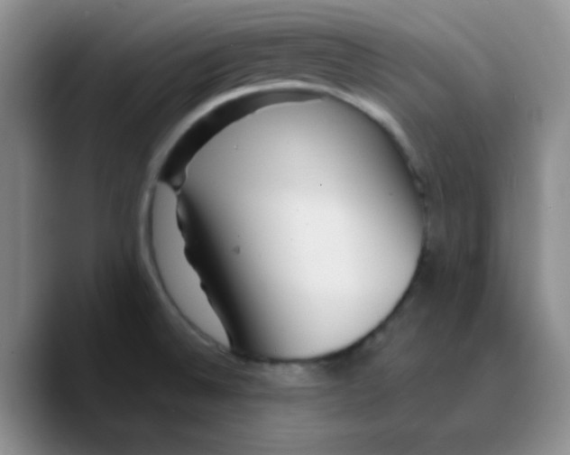 X0000089701524200707201730