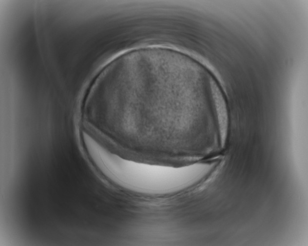 X0000089701525200707201730