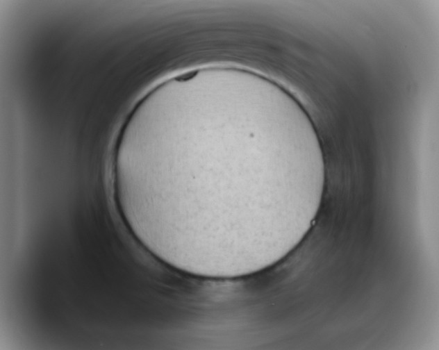 X0000089701526200707201730