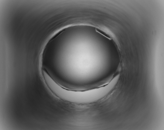 X0000089701528200707201730