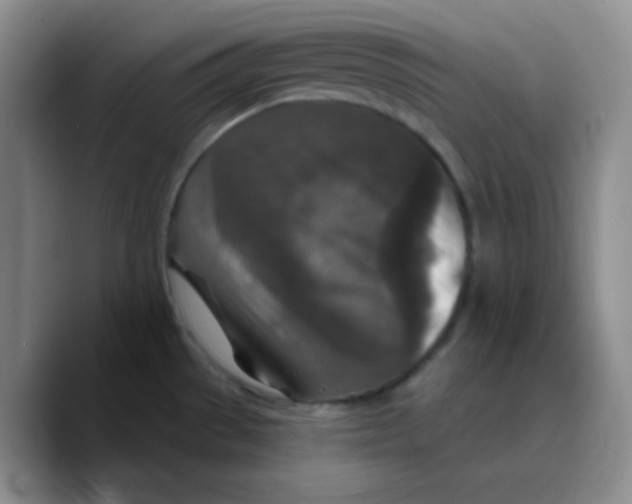 X0000089701529200707201730