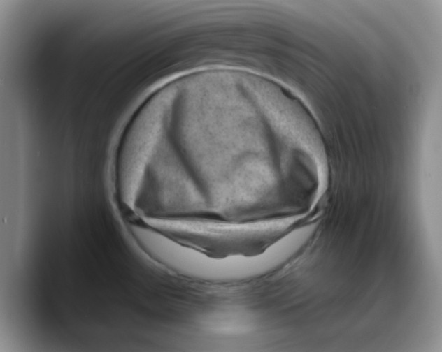 X0000089701531200707201730