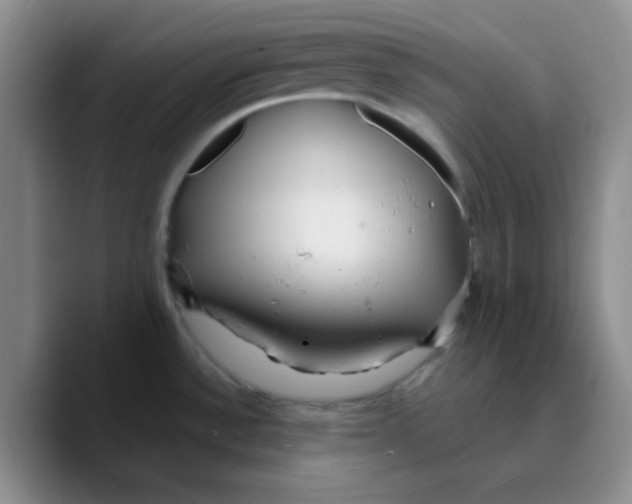 X0000089701532200707201730