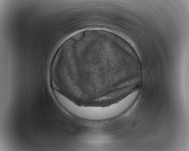 X0000089701533200707201730