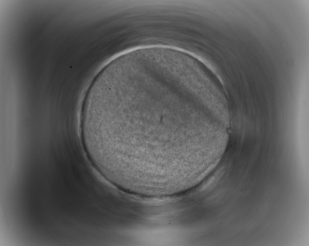 X0000089701535200707201730