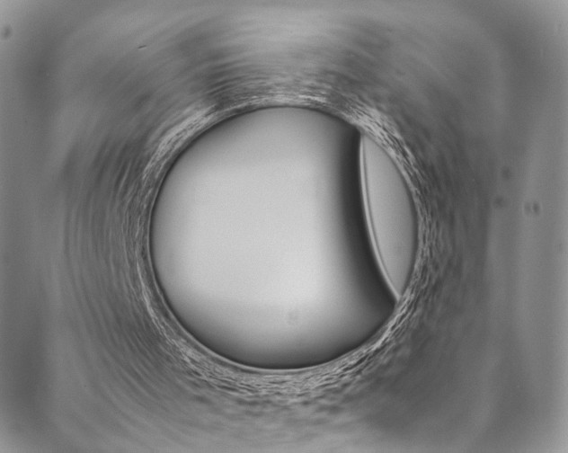 X0000089710001200706210927