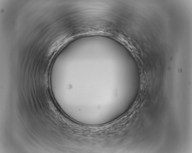 X0000089710002200706210927