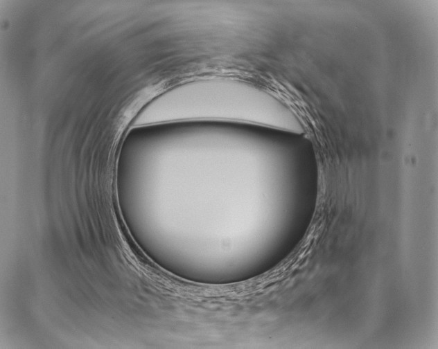 X0000089710003200706210927