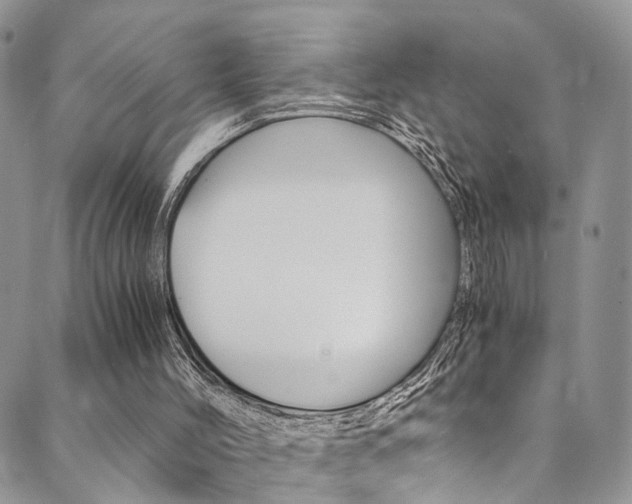 X0000089710004200706210927