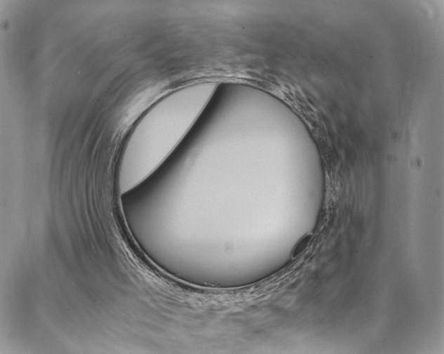 X0000089710005200706210927