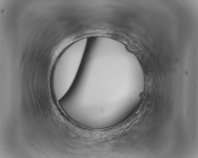 X0000089710006200706210927