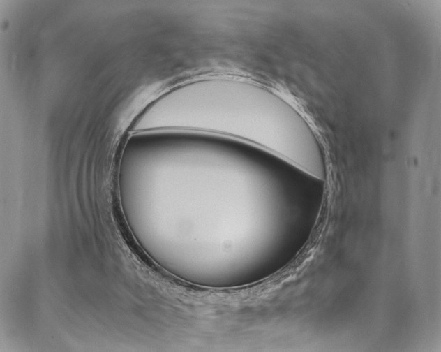 X0000089710007200706210927