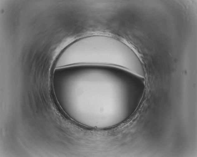 X0000089710008200706210927