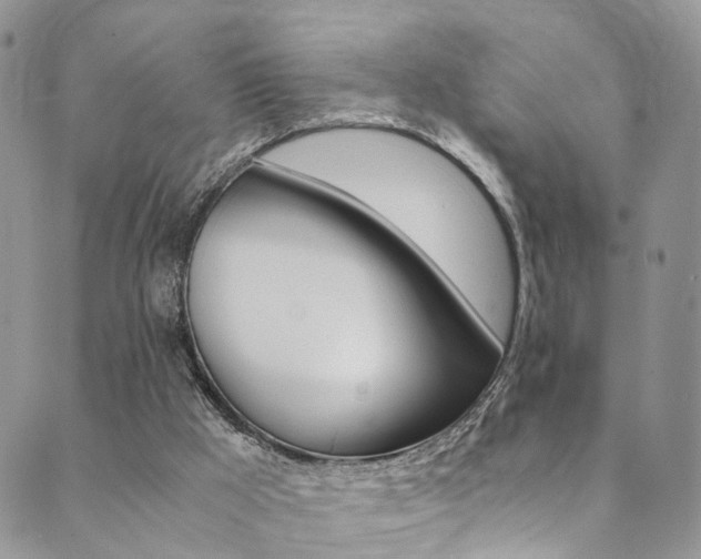 X0000089710009200706210927