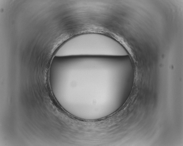 X0000089710010200706210927