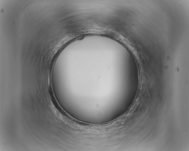 X0000089710011200706210927