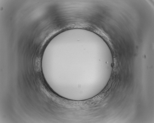 X0000089710012200706210927