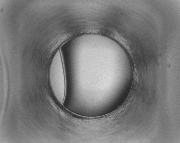 X0000089710013200706210927