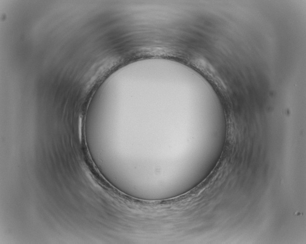 X0000089710014200706210927