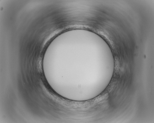 X0000089710016200706210927