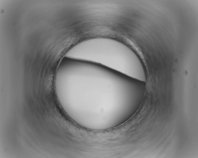 X0000089710018200706210927