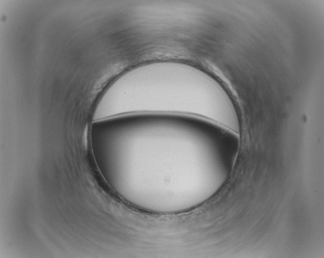 X0000089710019200706210927