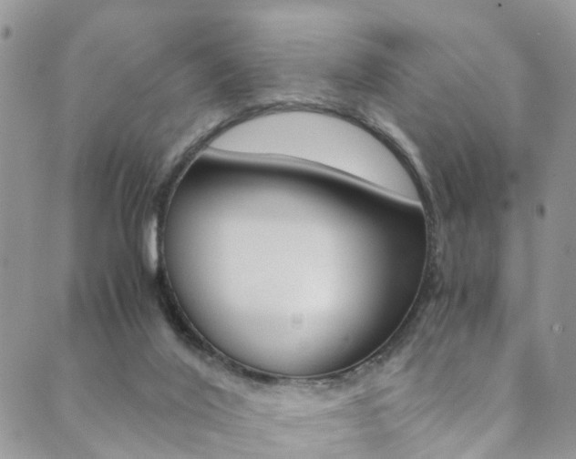 X0000089710020200706210927