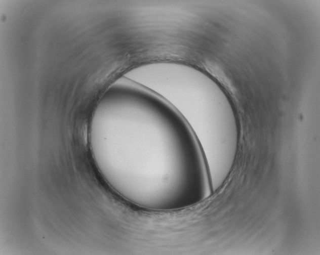 X0000089710021200706210927