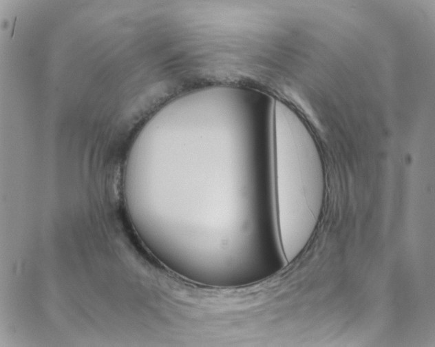 X0000089710023200706210927