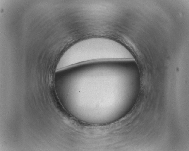 X0000089710025200706210927