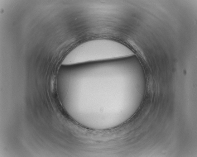 X0000089710026200706210927