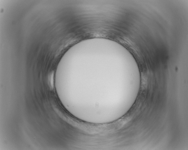 X0000089710028200706210927