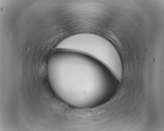 X0000089710029200706210927