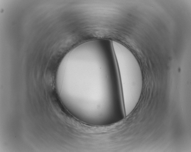 X0000089710031200706210927