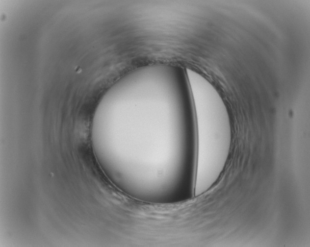 X0000089710033200706210927