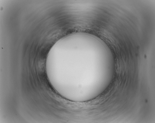 X0000089710034200706210927