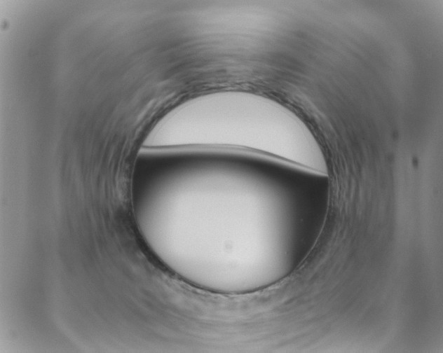 X0000089710035200706210927