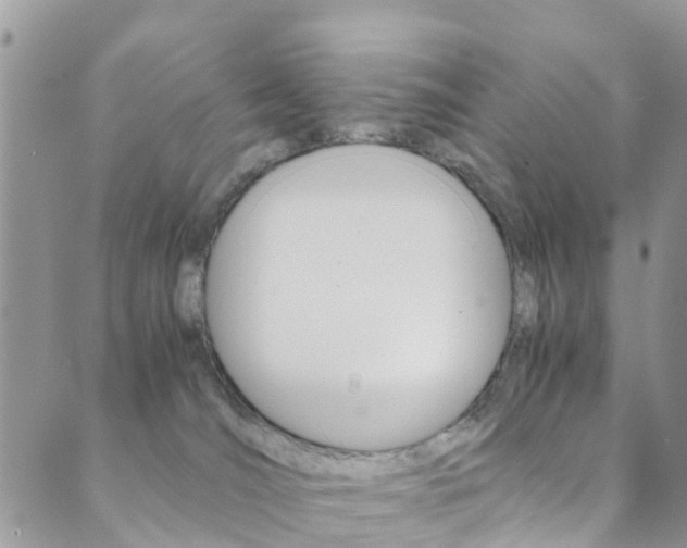 X0000089710036200706210927