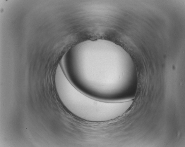 X0000089710037200706210927