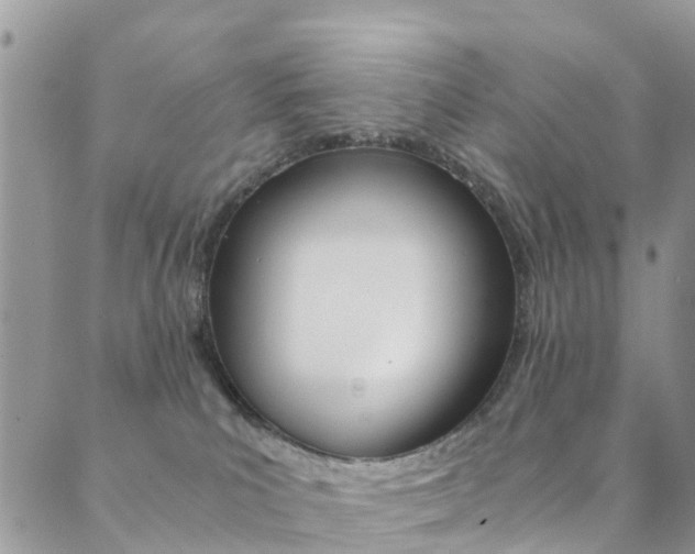 X0000089710039200706210927