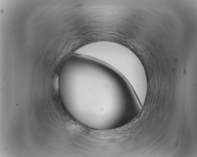 X0000089710041200706210927