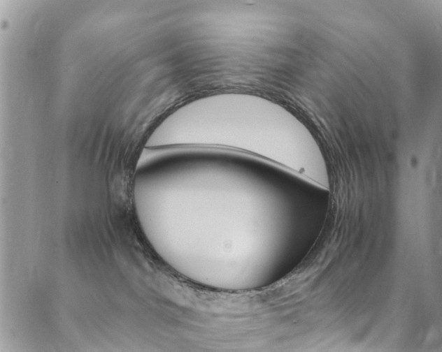 X0000089710044200706210927